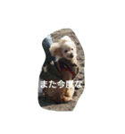 2Dogs leiandyupa（個別スタンプ：8）