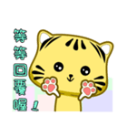 Cute striped cat. CAT53（個別スタンプ：24）