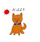 柴犬のドン吉 vol.1（個別スタンプ：1）