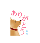 柴犬 美和 3（個別スタンプ：3）