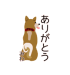 柴犬 美和 3（個別スタンプ：15）