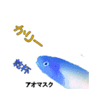 沖縄のレアな魚がしゃべるウチナーグチ（個別スタンプ：18）