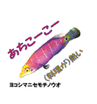沖縄のレアな魚がしゃべるウチナーグチ（個別スタンプ：29）