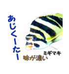 沖縄のレアな魚がしゃべるウチナーグチ（個別スタンプ：30）
