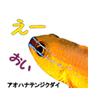 沖縄のレアな魚がしゃべるウチナーグチ（個別スタンプ：32）