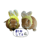 chimochimoboys no.2（個別スタンプ：29）