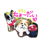 dogooooooooood（個別スタンプ：11）