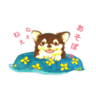 Dog and clover（個別スタンプ：2）