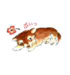 Dog and clover（個別スタンプ：12）