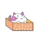 cute catty in box（個別スタンプ：18）