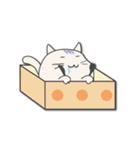 cute catty in box（個別スタンプ：36）