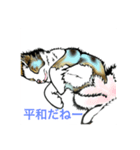 うちの犬 可愛いんだから（個別スタンプ：1）