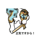 うちの犬 可愛いんだから（個別スタンプ：5）