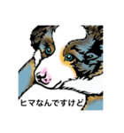 うちの犬 可愛いんだから（個別スタンプ：6）