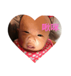 my baby love star（個別スタンプ：15）