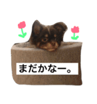 ROMYの日常スタンプ（個別スタンプ：12）