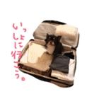 ROMYの日常スタンプ（個別スタンプ：21）