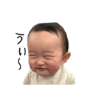 kentaro face no.6（個別スタンプ：6）