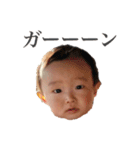 kentaro face no.6（個別スタンプ：11）