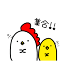 Chickens and chicks vol.1（個別スタンプ：6）