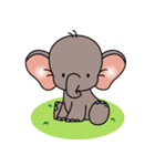 baby elephantt（個別スタンプ：1）