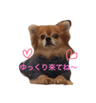 Love Tobby（個別スタンプ：7）