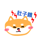 Sweet shiba（個別スタンプ：16）