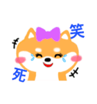 Sweet shiba（個別スタンプ：23）