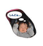 coco stanp2（個別スタンプ：14）