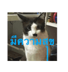 Leon A Cat can speak（個別スタンプ：4）