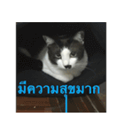 Leon A Cat can speak（個別スタンプ：5）