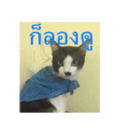 Leon A Cat can speak（個別スタンプ：33）