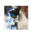 Leon A Cat can speak（個別スタンプ：39）