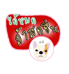 Dog Club No 7（個別スタンプ：9）