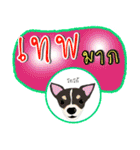 Dog Club No 7（個別スタンプ：11）