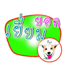 Dog Club No 7（個別スタンプ：22）