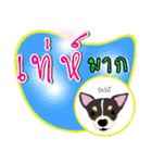 Dog Club No 7（個別スタンプ：24）