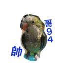 Blue＆Greenbird（個別スタンプ：4）