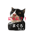 1枚ウワテな猫様（個別スタンプ：29）