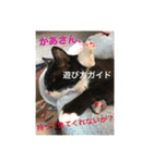 1枚ウワテな猫様（個別スタンプ：33）