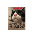 1枚ウワテな猫様（個別スタンプ：34）