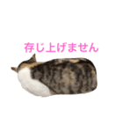 正しい敬語（個別スタンプ：32）