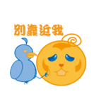 Oranges and Friends（個別スタンプ：20）