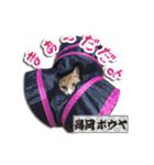 猫中心（個別スタンプ：21）