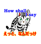 猫で英会話 よく使う英語編vol5（個別スタンプ：13）