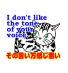 猫で英会話 よく使う英語編vol5（個別スタンプ：23）