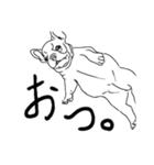 犬の刻No.1（個別スタンプ：13）