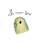 colorful_INCO_ parakeet（個別スタンプ：5）