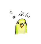 colorful_INCO_ parakeet（個別スタンプ：14）