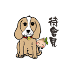 Seed man3( Dog)（個別スタンプ：35）